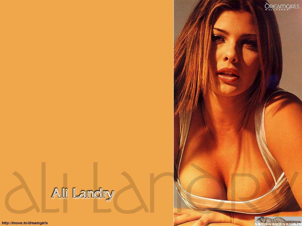 сиськи Али Ландри.  Знаменитости обои для рабочего стола    80  