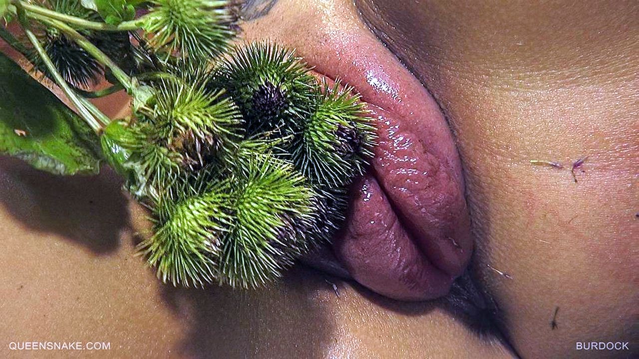 странные секс игрушки и распухшая от уколов вульва , bizarre фото 07