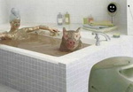 бодиарт порно фото 081