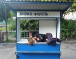 прикольная картинка женского тела 095