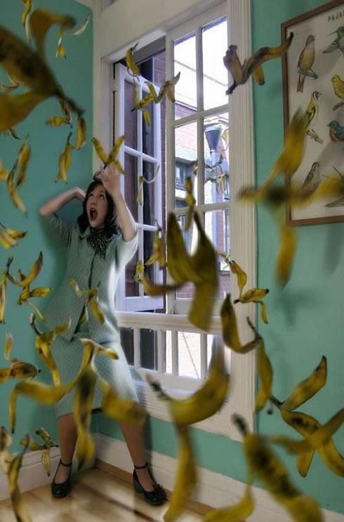 изнасилованная бананами. на женщину в ее доме напала стая летучих бананов