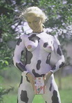 прикольная эротика 006