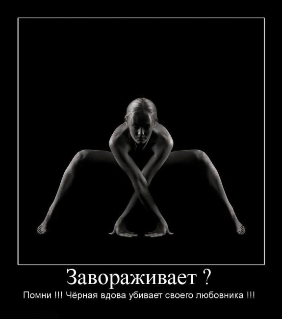 паучок. голенькая девушка изображает паучка на ножках. смешной фотоприкол 