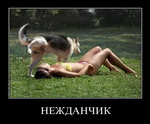 смешная эротическая картинка 074