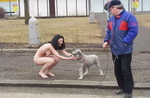 прикольная женская картинка 044