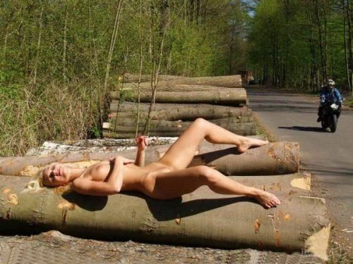 упражнения на бревне.   фото прикол