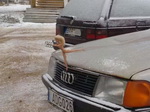 порно прикол с голой девушкой 019