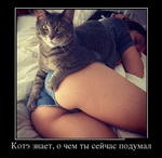 порно прикол с девушкой 050
