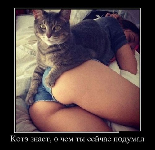да, все об этом подумали