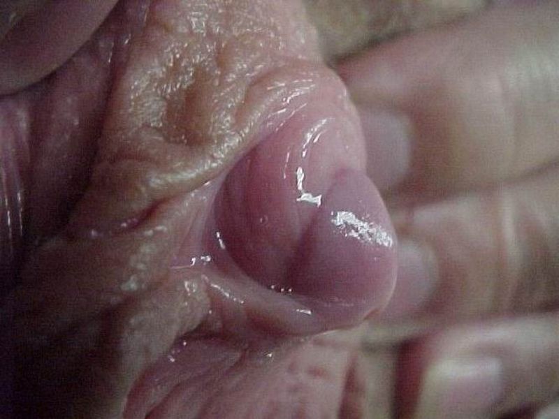 мокрая головка вставшего большого клитора, фото клитора женщины